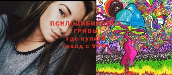 круглые Алексеевка