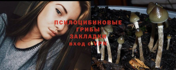 прущие грибы Арсеньев