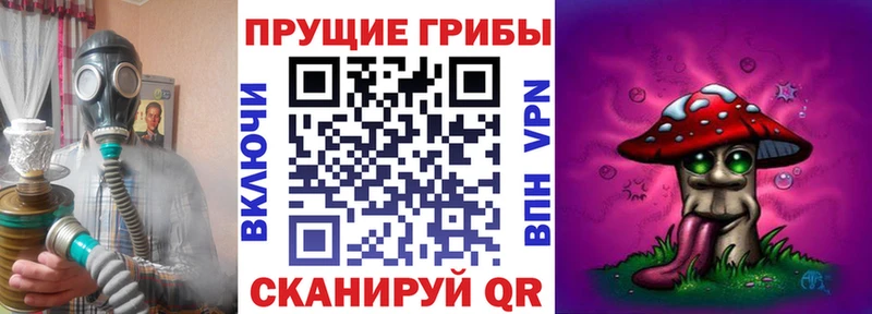 Псилоцибиновые грибы мухоморы дарк нет какой сайт Кирс